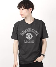 LUXSTYLE/カレッジロゴプリントTシャツ/Tシャツ メンズ 半袖 ロゴ プリント カレッジロゴ/504663458