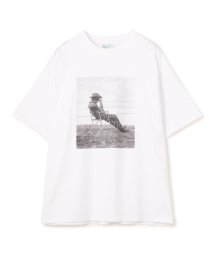 TOMORROWLAND BUYING WEAR(TOMORROWLAND BUYING WEAR)/【別注】THE INTERNATIONAL IMAGES COLLECTION×TOMORROWLAND ショートスリーブ アートTシャツ/02その他