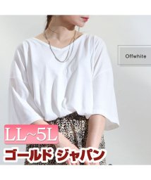 GOLD JAPAN(ゴールドジャパン)/大きいサイズ レディース ビッグサイズ アシメスリットVネックTシャツ/オフホワイト