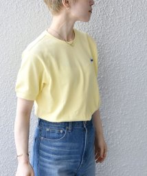 SHIPS any WOMEN(シップス　エニィ　ウィメン)/【SHIPS any別注】LACOSTE: PIQUE クルーネック Tシャツ/イエロー