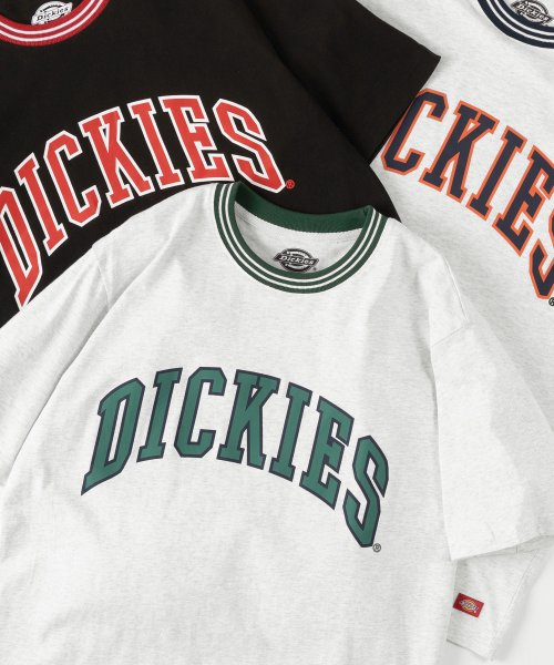 Dickies(Dickies)/【Dickies/ディッキーズ】リブライン カレッジロゴ＆袖切替え ブランドロゴ クルーネックTシャツ/ 半袖Tシャツ/グレー系その他