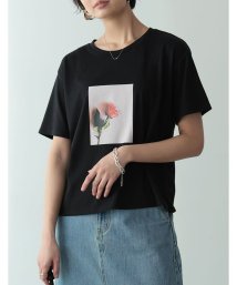 Re:EDIT/フラワーフォトプリント半袖Tシャツ/504681669