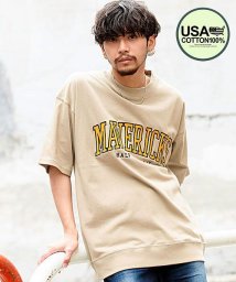 CavariA(キャバリア)/CavariA USAコットンクルーネック半袖アップリケ刺繍Tシャツ メンズ 半袖 USAコットン 厚手 大きいサイズ ビッグシルエット オーバーサイズ ゆった/グレージュ