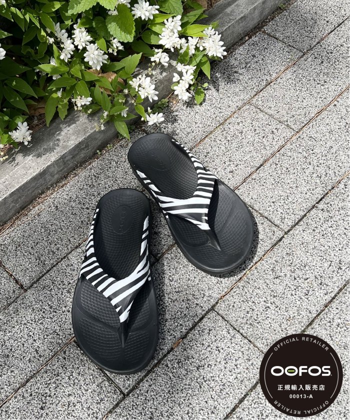 開梱 設置?無料 】 ウーフォス ジャーナルスタンダード 別注 27