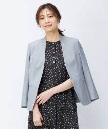 J.PRESS LADIES(J．プレス　レディス)/【洗える・撥水・防汚】コットンFITTYシャーク ノーカラー ジャケット/ライトグレー系