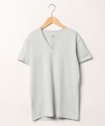 JEANS MATE/【BLUESTANDARD】COLANTOTTE ACTIVE リラックス インナーＴシャツ Vネック ストレッチ 天然鉱石を練り込んだ糸を使用/504672406