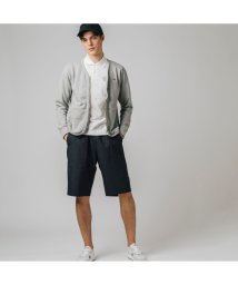 LACOSTE Mens(ラコステ　メンズ)/プレミアムスウェットジップカーディガン/シルバーグレー