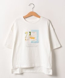 coen(coen)/【coen/コーエン】フォトプリント ハーフスリーブTシャツ/WHITE