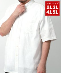 MARUKAWA(大きいサイズのマルカワ)/大きいサイズ 麻混 半袖 ボタンダウンシャツ/ムジ  無地 チェック リネン/ホワイト