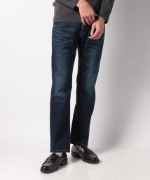 BLUE JEANS 1962(BLUE JEANS 1962)/JERSEYS REGULAR STRAIGHT/ユーズドウォッシュ