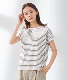 J.PRESS LADIES（LARGE SIZE）(J．プレス　レディス（大きいサイズ）)/フライスボーダー カットソー/ベージュ系1