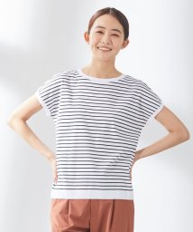 J.PRESS LADIES（LARGE SIZE）/フライスボーダー カットソー/504697686