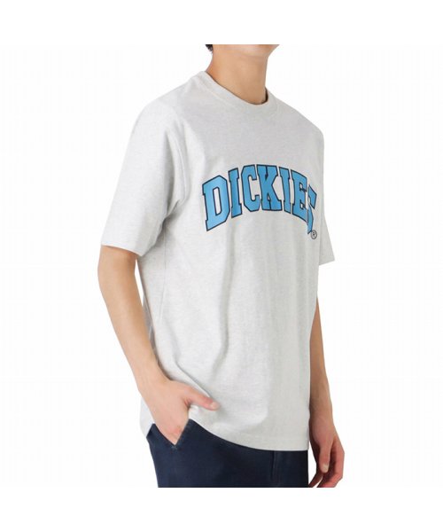 MAC HOUSE(men)(マックハウス（メンズ）)/Dickies ディッキーズ ロゴプリント半袖Tシャツ 2278－1434/オートミール