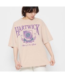 Spiritoso(スピリトーゾ)/HARTWICK カレッジロゴピグメントTシャツ/ライトピンク