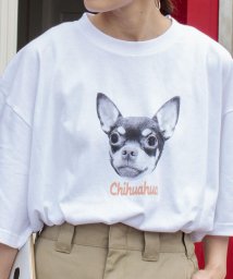 GLOSTER(GLOSTER)/【人気NO.1ヒットシリーズ】DOG&CAT 犬猫オーバーサイズTシャツ/ホワイト系その他6