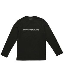 EMPORIO ARMANI(エンポリオアルマーニ)/EMPORIO ARMANI エンポリオ・アルマーニ 8N1TN81JPZZ Ｔシャツ/ブラック