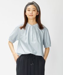 J.PRESS LADIES（LARGE SIZE）(J．プレス　レディス（大きいサイズ）)/【イージーケア】ストライプジャージーII カットソー/サックスブルー系1