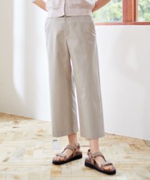 J.PRESS LADIES（LARGE SIZE）/【洗える・撥水・防汚】コットンFITTYシャーク ワイド アンクル パンツ/504705942