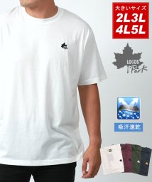 MARUKAWA(大きいサイズのマルカワ)/【LOGOS park】ロゴスパーク 大きいサイズ 吸汗速乾 半袖 Tシャツ/ワンポイント ロゴ 刺繍 メンズ カジュアル/ホワイト