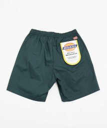 ABAHOUSE(ABAHOUSE)/【Dickies/ディッキーズ】 チノワークショーツ/グリーン