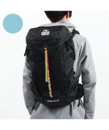 CHUMS/【日本正規品】チャムス リュック CHUMS Spring Dale 35 バックパック 35L ウエストポーチ 登山 旅行 レインカバー CH60－3161/504708389