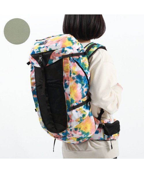 CHUMS(チャムス)/【日本正規品】チャムス リュック CHUMS Spring Dale 35 バックパック 35L ウエストポーチ 登山 旅行 レインカバー CH60－3161/その他系2