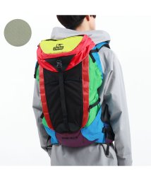 CHUMS(チャムス)/【日本正規品】チャムス リュック CHUMS Spring Dale 35 バックパック 35L ウエストポーチ 登山 旅行 レインカバー CH60－3161/その他系1