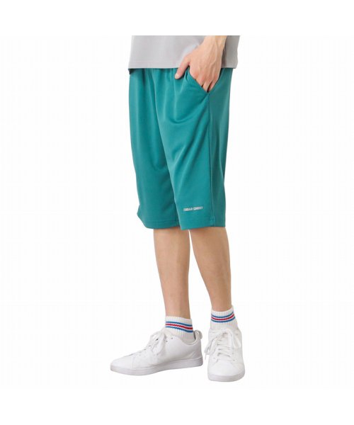 MAC HOUSE(men)(マックハウス（メンズ）)/CEDAR CREST セダークレスト サラテックドライポケット付きショートパンツ 2271464C/ブルー