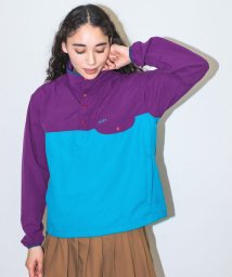 URBAN RESEARCH Sonny Label(アーバンリサーチサニーレーベル)/OOPS　配色アノラックブルゾン/PPL×TRQ