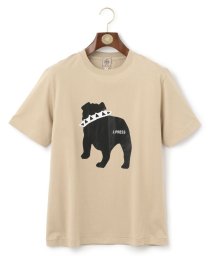 J.PRESS MENS(J．プレス　メンズ)/【WEB限定カラー&サイズ有】【UNISEX】バックブルドック Tシャツ/キャメル系