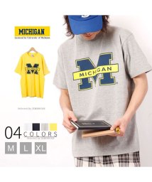 JEMORGAN(ジェーイーモーガン)/【MICHIGAN（ミシガン大学】ヘビーウェイトミシガン大学Ｔｅｅ　/　MICHIGAN/ヘザーグレー