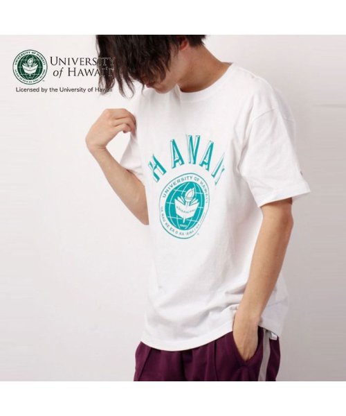 JEMORGAN(ジェーイーモーガン)/【HAWAI'I（ハワイ大学）】ヘビーウェイトハワイ大学Ｔｅｅ　/　HAWAII/オフホワイト