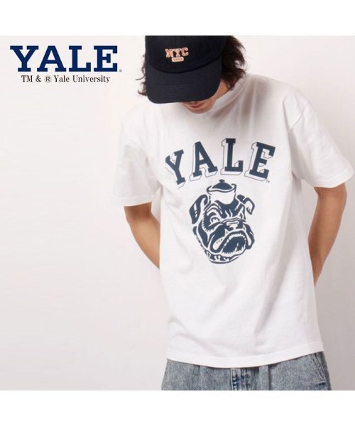 JEMORGAN(ジェーイーモーガン)/【YALE（イェール大学）】ヘビーウェイトイェール大学Ｔｅｅ　/　YALE/オフホワイト