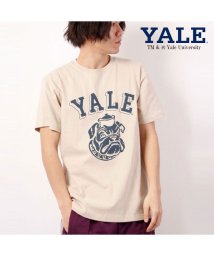 JEMORGAN(ジェーイーモーガン)/【YALE（イェール大学）】ヘビーウェイトイェール大学Ｔｅｅ　/　YALE/ストーン