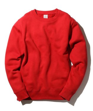 AVIREX/《DAILY/デイリー》DAILY L/S CREW NECK SWEAT/デイリー ロングスリーブ クルーネック スウェット/504722573