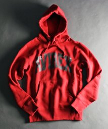 AVIREX(AVIREX)/《DAILY/デイリー》DAILY L/S SWEAT PULL PARKA LOGO/デイリー ロングスリーブ スウェット プルパーカー /レッド