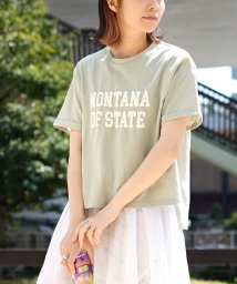 e-zakkamaniastores(イーザッカマニアストアーズ)/発砲プリント カレッジロゴTシャツ/ミント