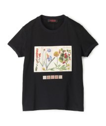 CABaN /CABaN スビンコットン パレルモフラワープリントTシャツ/504729964