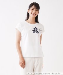 Leilian(レリアン)/ストライプ柄スターTシャツ【Leilian WHITE LABEL】/アイボリー