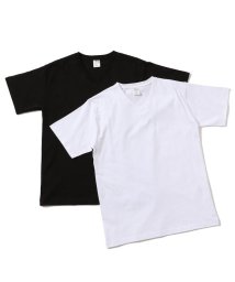 AVIREX(AVIREX)/《DAILY/デイリー》DAILY 2－PACK V NECK TEE/デイリー2パック Vネック半袖Tシャツ/アイボリー2