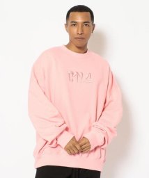 RoyalFlash(ロイヤルフラッシュ)/CTLS/シーティーエルエス/USUAL CREWNECK/ピンク