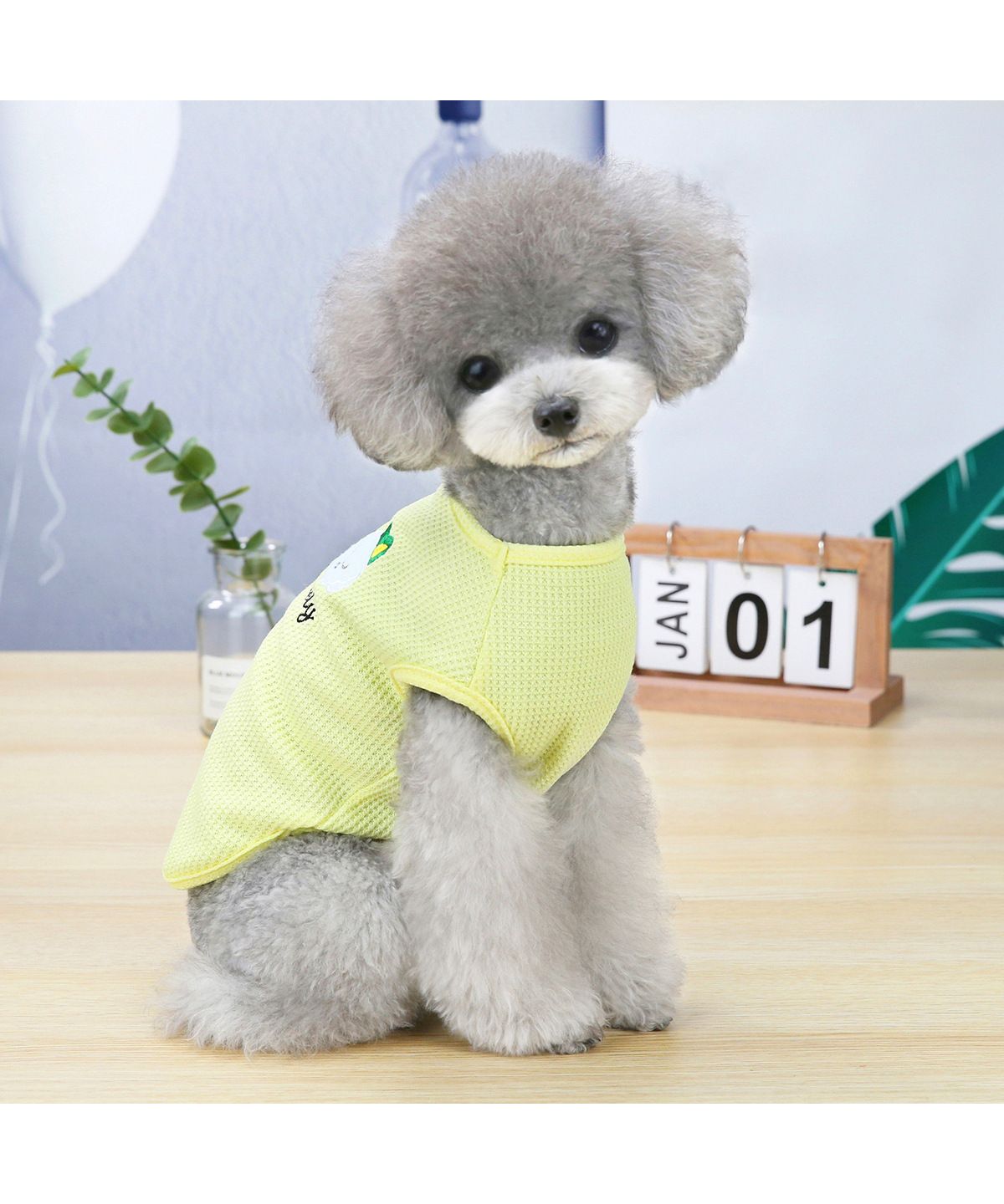 犬 服 いぬ ワンピース くま クマ 袖なし ドッグウェア ふりふり 袖無し キャミソール 犬の服 犬服 着せやすい 熊 涼しい