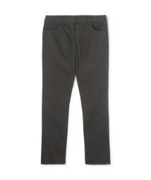 JAMES PERSE(JAMES PERSE)/コットンツイル 5ポケットパンツ MCST1260/18ブラック系