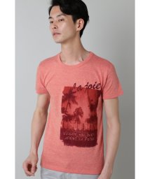 HIGH STREET/HIGH STREET∴ヤシノ木フォトプリントクルーネックTシャツ/504752138