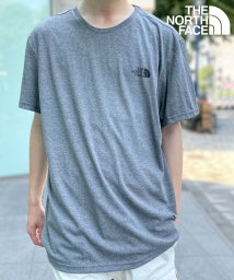 THE NORTH FACE(ザノースフェイス)/【THE NORTH FACE / ザ・ノースフェイス】ワンポイント ロゴ Tシャツ 半袖 カットソー SIMPLE DOME TEE NF0A2TX5/グレー