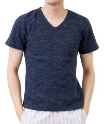  GENELESS(GENELESS)/Tシャツ メンズ 半袖 無地 半袖Tシャツ インナー カットソー Vネック タイト tシャツ 黒 グレー/ブルー系1