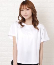 Lace Ladies/バックタック半袖Tシャツカットソー/504767653