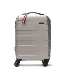 RONCATO/ロンカート スーツケース RONCATO RV－18 30L キャリーケース 機内持ち込み 1泊 2泊 静音 TSAロック 4輪 Sサイズ 旅行 5803/504774382