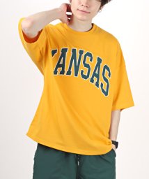 LUXSTYLE/カレッジロゴアップリケTシャツ/Tシャツ メンズ 半袖 ビッグシルエット カレッジ ロゴ プリント/504775173