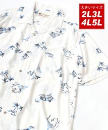MARUKAWA(大きいサイズのマルカワ)/大きいサイズ [2L 3L 4L 5L] レーヨン アロハシャツ オープンカラーシャツ 開襟シャツ メンズ カジュアル 夏/ホワイト